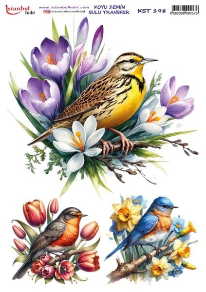 Koyu Zemin Sulu Transfer Kağıdı 25x35cm KST-198