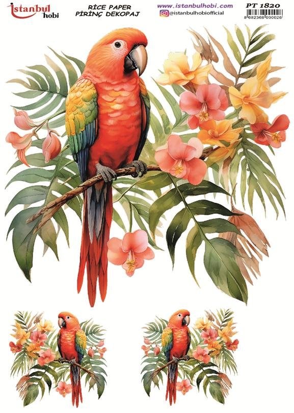 Pirinç Dekopaj Kağıdı 30x42cm PT-1820