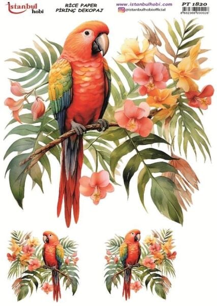 Pirinç Dekopaj Kağıdı 30x42cm PT-1820