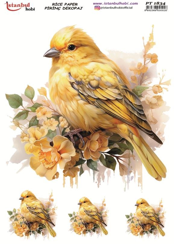 Pirinç Dekopaj Kağıdı 30x42cm PT-1834