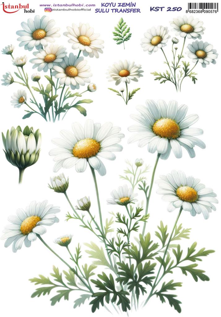 Koyu Zemin Sulu Transfer Kağıdı 25x35cm KST-250 Papatya