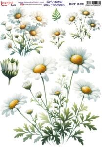 Koyu Zemin Sulu Transfer Kağıdı 25x35cm KST-250 Papatya