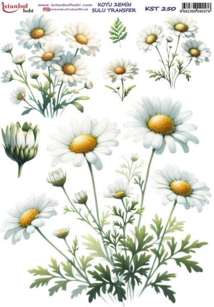 Koyu Zemin Sulu Transfer Kağıdı 25x35cm KST-250 Papatya