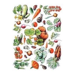 Model 25 - Pirinç Dekopaj Cadencecraft