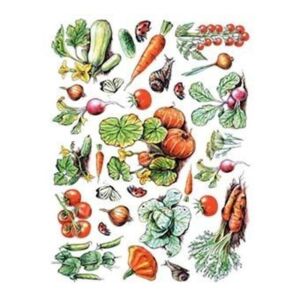 Model 25 - Pirinç Dekopaj Cadencecraft