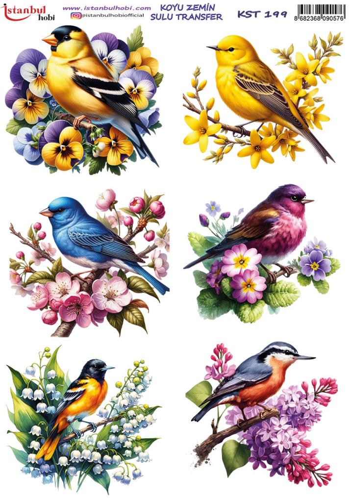 Koyu Zemin Sulu Transfer Kağıdı 25x35cm KST-199