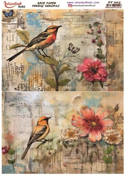 Pirinç Dekopaj Kağıdı 30x42cm PT-203