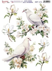 Koyu Zemin Sulu Transfer Kağıdı 25x35cm KST-171