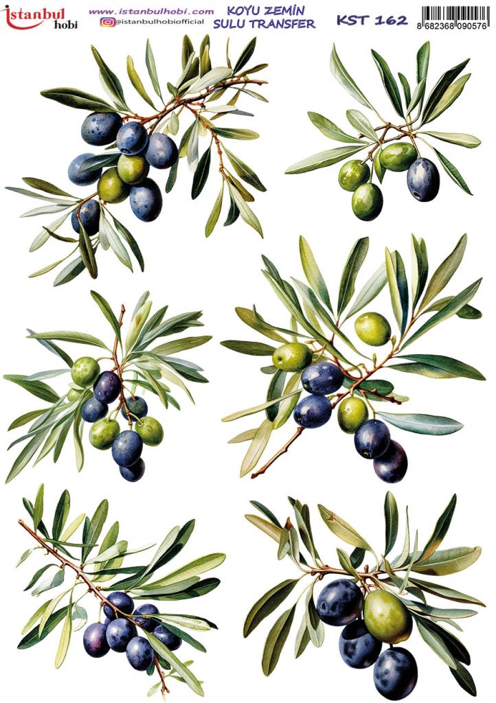 Koyu Zemin Sulu Transfer Kağıdı 25x35cm KST-162