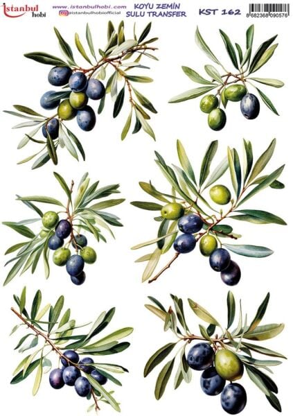 Koyu Zemin Sulu Transfer Kağıdı 25x35cm KST-162