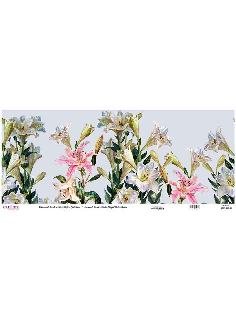 Evrensel Bordür Pirinç Kağıt Koleksiyonu UBC-005