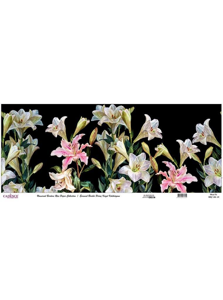 Evrensel Bordür Pirinç Kağıt Koleksiyonu UBC-006