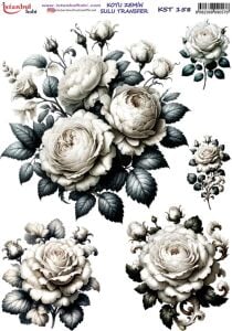 Koyu Zemin Sulu Transfer Kağıdı 25x35cm KST-158