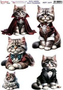 Koyu Zemin Sulu Transfer Kağıdı 25x35cm KST-157