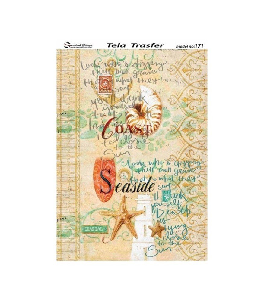 Model 171 - Tela Transfer