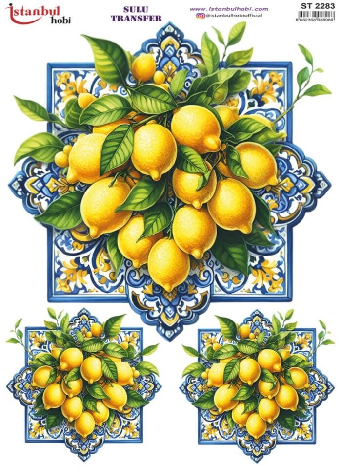 Sulu Transfer Kağıdı 25x35cm ST-2283