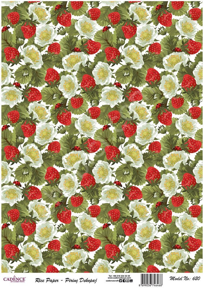 Cadence Pirinç Dekopaj Kağıdı - Model 620