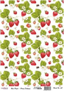 Cadence Pirinç Dekopaj Kağıdı - Model 621