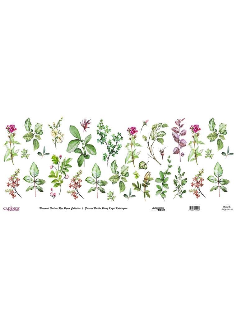 Evrensel Bordür Pirinç Kağıt Koleksiyonu UBC-014