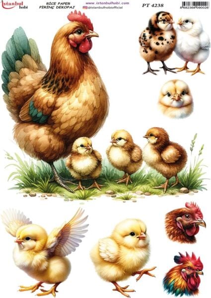 Pirinç Dekopaj Kağıdı 30x42cm PT-4238