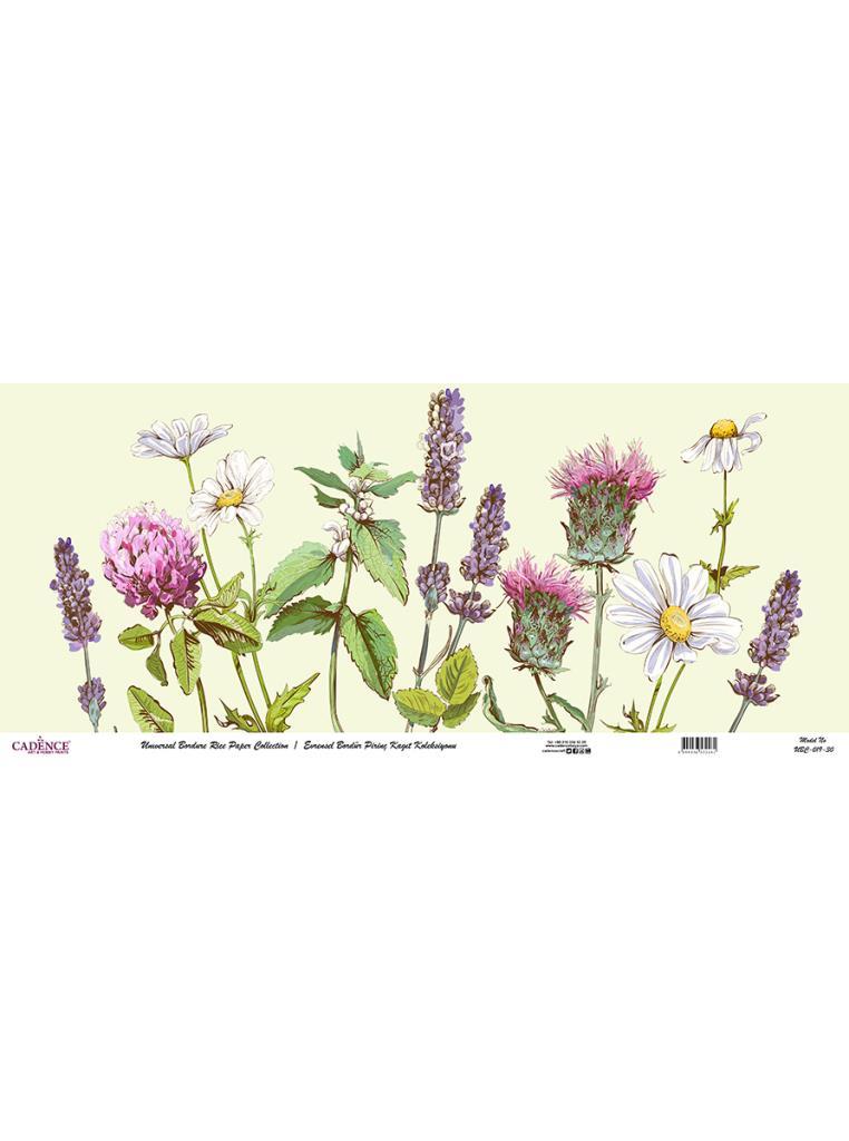 Evrensel Bordür Pirinç Kağıt Koleksiyonu UBC-019