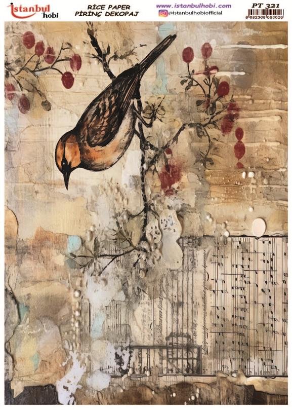 Pirinç Dekopaj Kağıdı 30x42cm PT-321