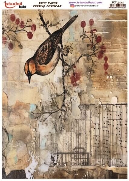Pirinç Dekopaj Kağıdı 30x42cm PT-321