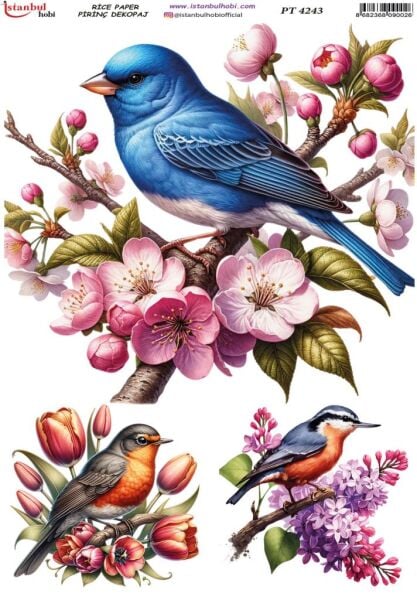 Pirinç Dekopaj Kağıdı 30x42cm PT-4243