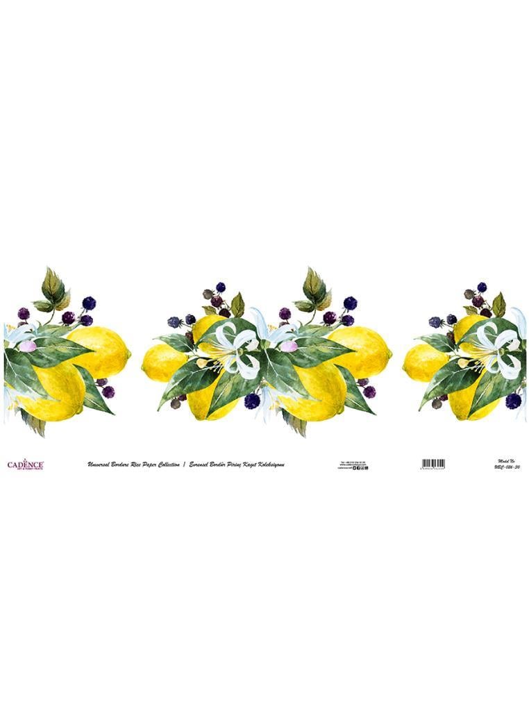 Evrensel Bordür Pirinç Kağıt Koleksiyonu UBC-026