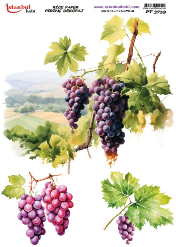 Pirinç Dekopaj Kağıdı 30x42cm PT-3759