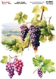 Pirinç Dekopaj Kağıdı 30x42cm PT-3759