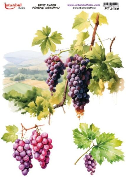 Pirinç Dekopaj Kağıdı 30x42cm PT-3759