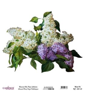 Cadence Evrensel Pirinç Dekopaj Kağıdı - UC-004