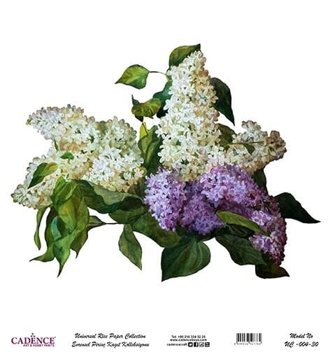 Cadence Evrensel Pirinç Dekopaj Kağıdı - UC-004