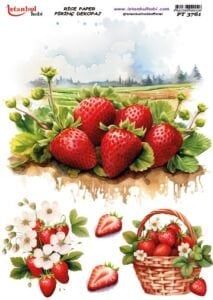 Pirinç Dekopaj Kağıdı 30x42cm PT-3761