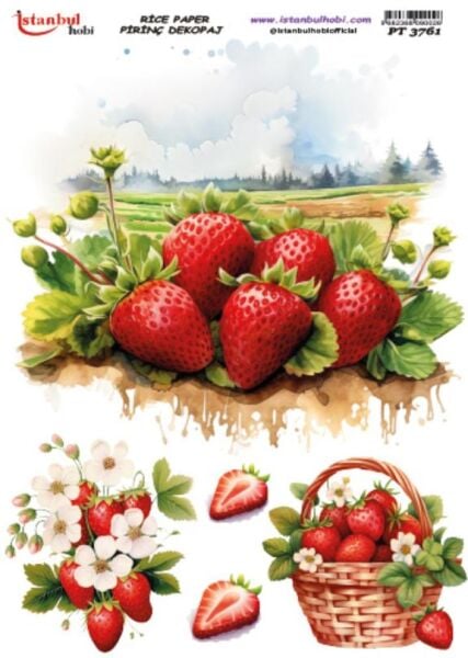 Pirinç Dekopaj Kağıdı 30x42cm PT-3761