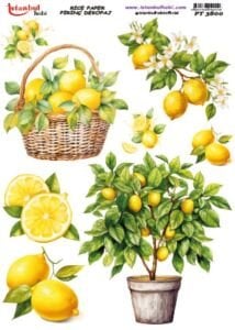 Pirinç Dekopaj Kağıdı 30x42cm PT-3800