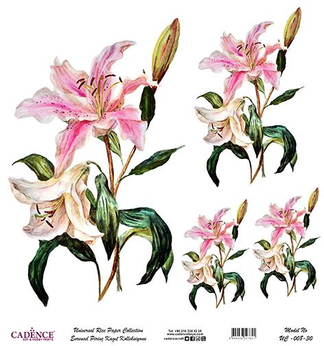 Cadence Evrensel Pirinç Dekopaj Kağıdı - UC-008