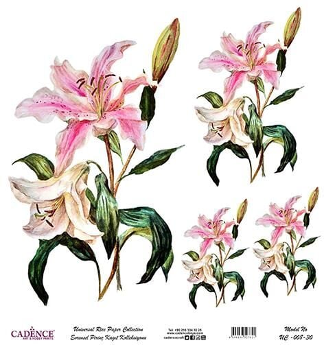 Cadence Evrensel Pirinç Dekopaj Kağıdı - UC-008