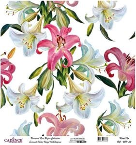 Cadence Evrensel Pirinç Dekopaj Kağıdı - UC-009