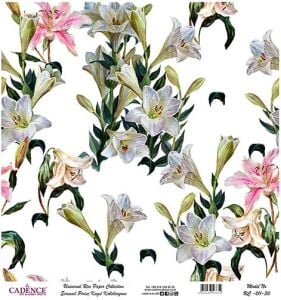 Cadence Evrensel Pirinç Dekopaj Kağıdı - UC-011