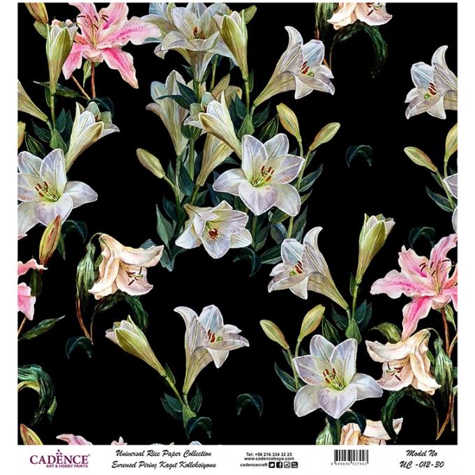Cadence Evrensel Pirinç Dekopaj Kağıdı - UC-012