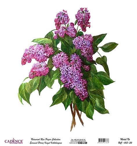 Cadence Evrensel Pirinç Dekopaj Kağıdı - UC-013