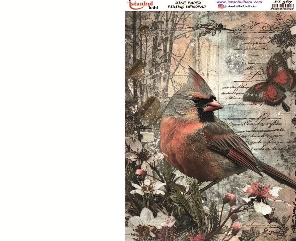 Pirinç Dekopaj Kağıdı 30x42cm PT-587 Kuş Kelebek
