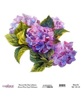 Cadence Evrensel Pirinç Dekopaj Kağıdı - UC-016