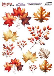 Sulu Transfer Kağıdı 25x35cm ST-1524