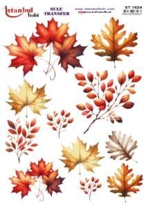 Sulu Transfer Kağıdı 25x35cm ST-1524