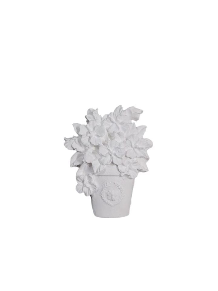 Saksıda Çiçekler 7,5x6cm