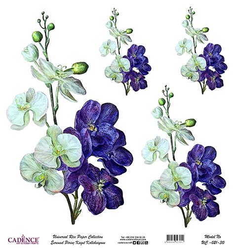 Cadence Evrensel Pirinç Dekopaj Kağıdı - UC-021