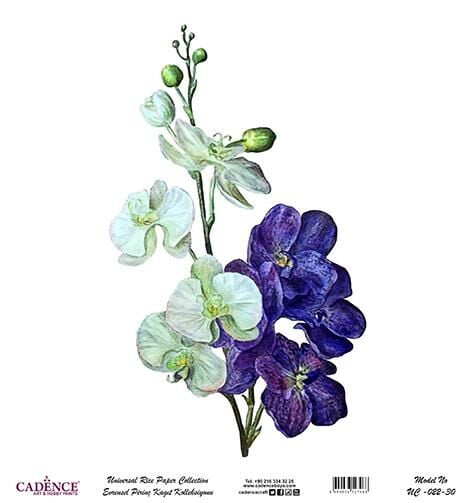 Cadence Evrensel Pirinç Dekopaj Kağıdı - UC-022